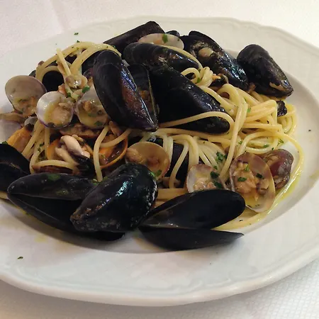 酒店 Alba Sul Mare